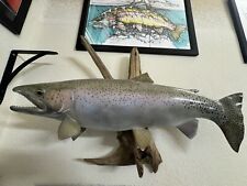 Rainbow trout steelhead for sale  Sparks