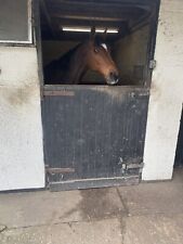 Horse stable door for sale  ASHFORD