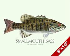 Smallmouth bass sunfish for sale  South Jordan