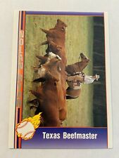 1991 Pacific Nolan Ryan Series 1 #104 Texas Beefmaster for sale  Shipping to South Africa