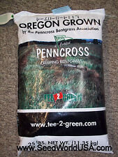 Penncross creeping bentgrass for sale  Odessa
