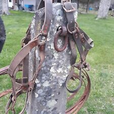 Two antique horse for sale  Saugerties