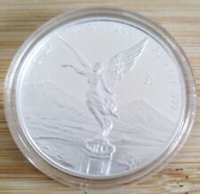 2019 mexican silver gebraucht kaufen  Burgstädt