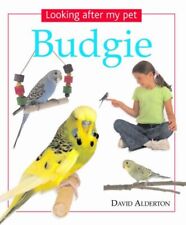 Looking pet budgie for sale  UK