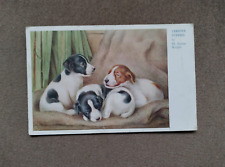 Vintage postcard terrier for sale  HARLOW