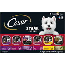 Cesar wet dog for sale  Bordentown