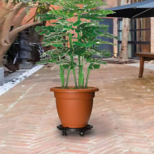 Tidyard chariots plantes d'occasion  Clermont-Ferrand-