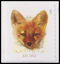 5743 red fox d'occasion  Expédié en Belgium