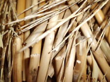 Bambus bambusrohre abschnitte gebraucht kaufen  Bad Buchau