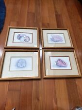 seashell pictures for sale  Carlsbad