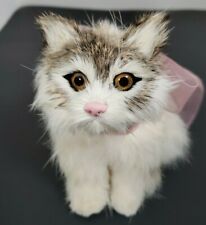 Persian angora kitten for sale  Enfield