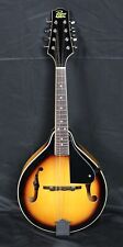 Rogue 100a mandolin for sale  Hicksville