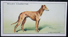 Greyhound vintage 1937 for sale  DERBY