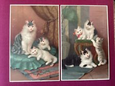 Sophie sperlich cats for sale  WEYMOUTH