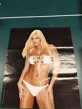 TORRIE WILSON DIVA 2004 WWE WRESTLING POSTER WWF 21" X 24" for sale  Shipping to South Africa