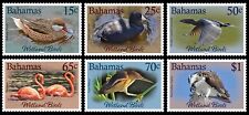 Bahamas 2022 birds d'occasion  Expédié en Belgium