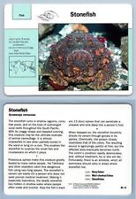 Stonefish 89.13 fish for sale  SLEAFORD