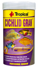 cichlids for sale  Ireland