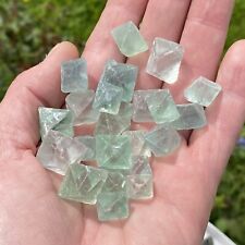 Green fluorite octahedrons for sale  TOTNES