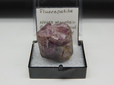 FLUORAPATITE  Noyes Mtn, Maine *HIGH GRADE* Ex. James L.Hefner Coll 1970s *RARE* for sale  Shipping to South Africa