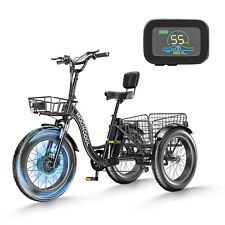 Electric tricycle 500w for sale  Los Angeles