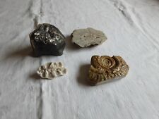 Mixed lot fossils for sale  IPSWICH