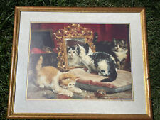 Kitten kitty cat for sale  Appomattox