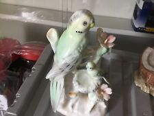 Budgie baby ex for sale  SOUTHAMPTON