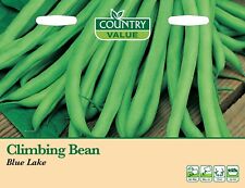 French bean seeds for sale  WORTHING