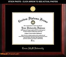 Texas university diploma for sale  Muskegon