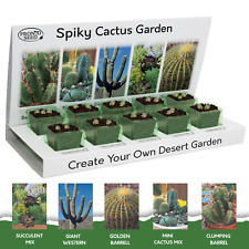 Cactus seeds cactus for sale  BARRY