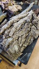 Decaying cottonwood bark d'occasion  Expédié en Belgium