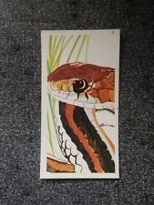 garter snake for sale  HASSOCKS