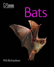 Bats for sale  ROSSENDALE