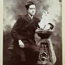 Cabinet card boy for sale  Hackettstown