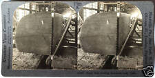 Keystone stereoview cutting for sale  Norwalk