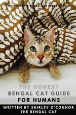 Honest bengal cat for sale  Haltom City
