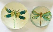 Glass dome dragonfly for sale  MACCLESFIELD