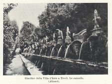 G7598 tivoli giardino usato  San Mauro Forte