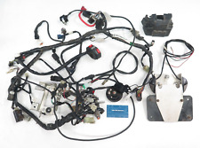 Used, 2012-2015 Yamaha WR450F OEM Wiring Harness w Dual Sport Kit (Wire Loom Switches) for sale  Shipping to South Africa