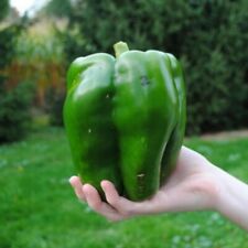 Emerald giant bell for sale  Salem