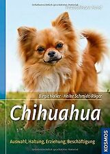 Chihuahua auswahl haltung gebraucht kaufen  Berlin