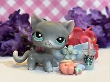 Littlest Pet Shop 126 LPS autêntico prata cinza cabelo curto gato olhos azuis aquáticos comprar usado  Enviando para Brazil