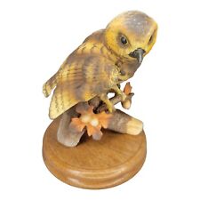 Exotic owl bird for sale  Chesterton