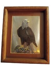 American bald eagle for sale  Mccleary