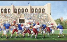 Football stadium wall for sale  Corpus Christi