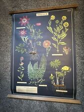 Herbarium poster wooden for sale  Newberg