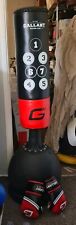 Gallant punch bag for sale  WORTHING