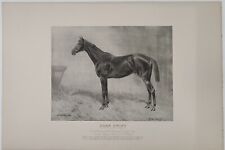 Antique lithograph horse for sale  BACUP