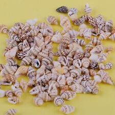 100pcs small sea for sale  Shipping to Ireland